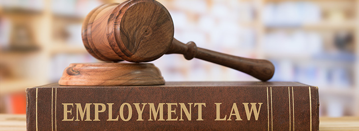 Employment Litigation